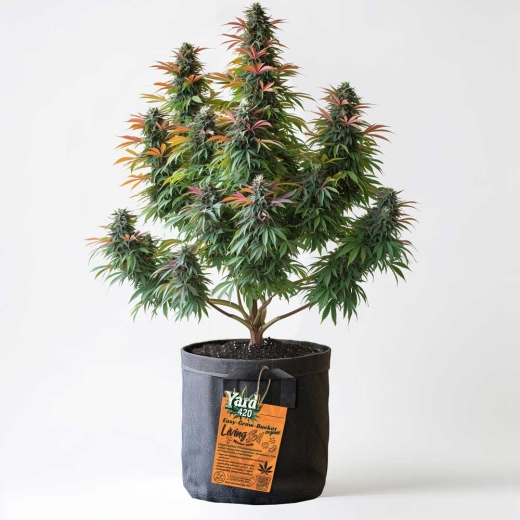 Grow Stofftopf Living Soil organicc